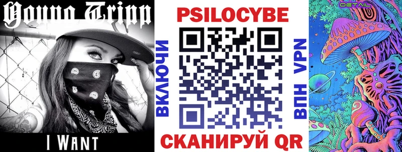 купить наркотики сайты Вилючинск Псилоцибиновые грибы MAGIC MUSHROOMS